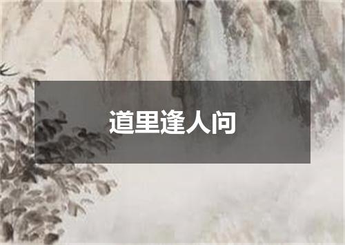 道里逢人问
