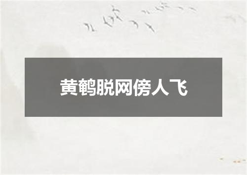 黄鹌脱网傍人飞