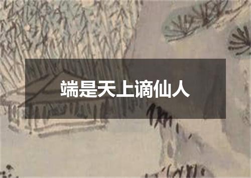 端是天上谪仙人