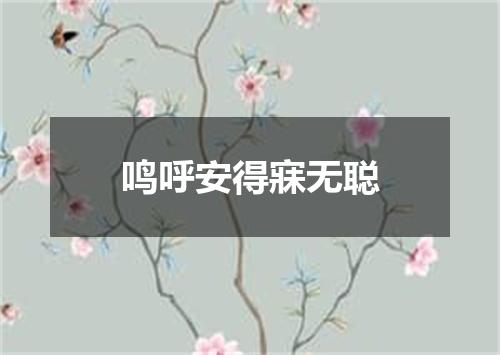 鸣呼安得寐无聪