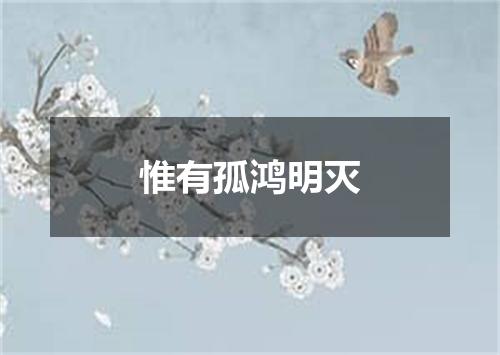 惟有孤鸿明灭
