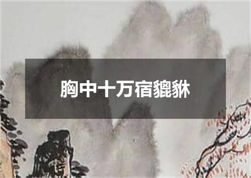 胸中十万宿貔貅