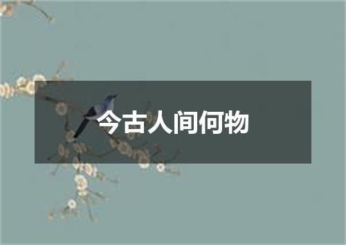 今古人间何物