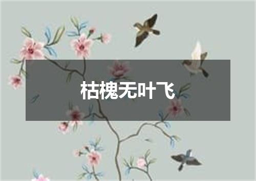 枯槐无叶飞