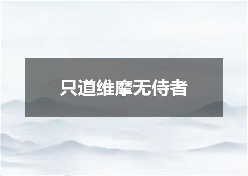 只道维摩无侍者