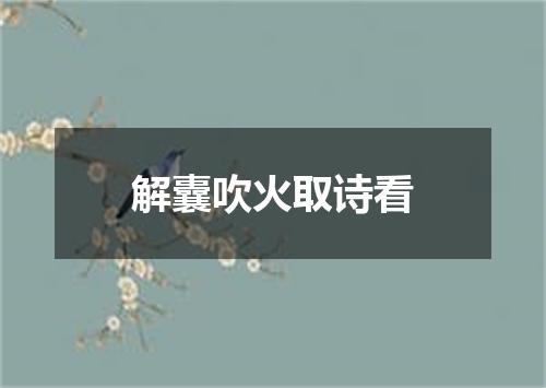 解囊吹火取诗看