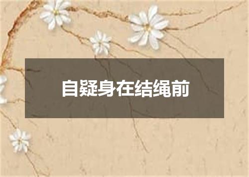 自疑身在结绳前