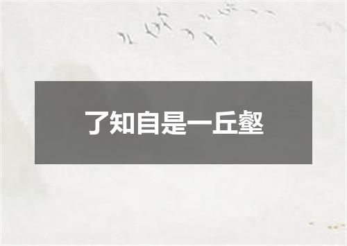 了知自是一丘壑