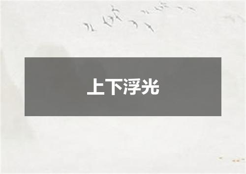 上下浮光