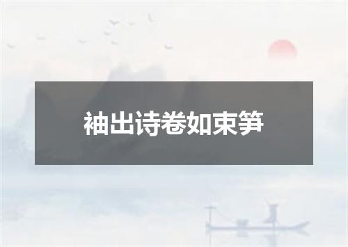 袖出诗卷如束笋