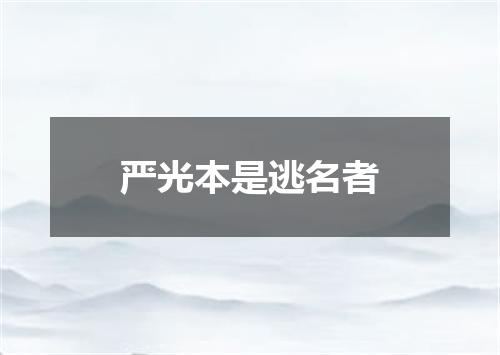 严光本是逃名者