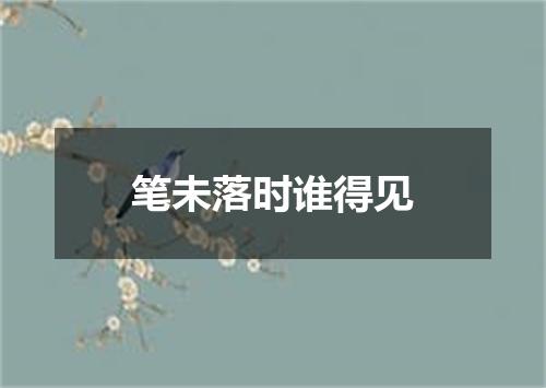 笔未落时谁得见