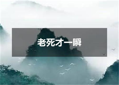 老死才一瞬