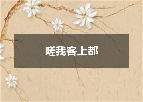 嗟我客上都