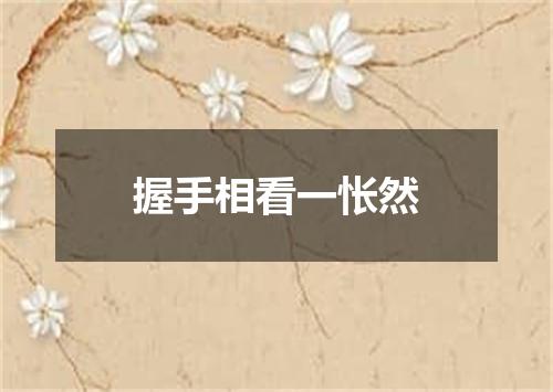 握手相看一怅然