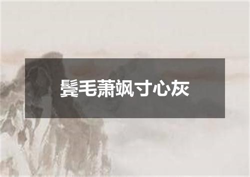 鬓毛萧飒寸心灰