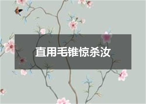 直用毛锥惊杀汝