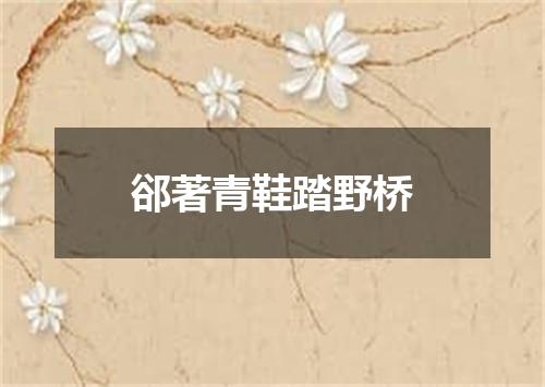 郤著青鞋踏野桥