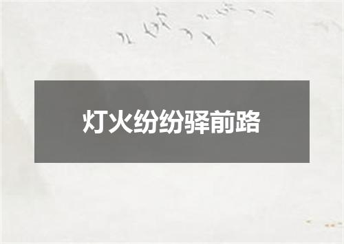 灯火纷纷驿前路