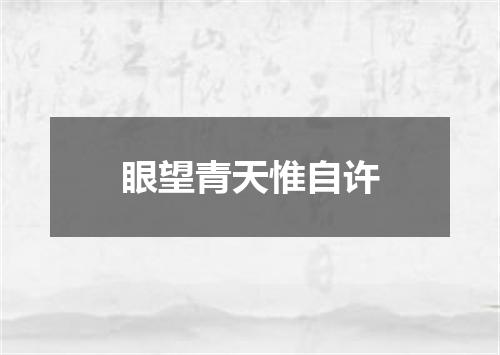 眼望青天惟自许