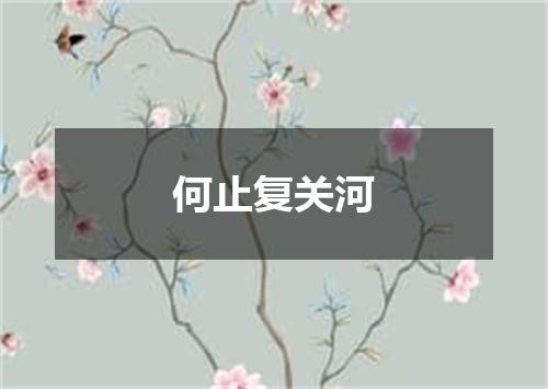 何止复关河