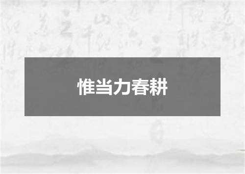 惟当力春耕