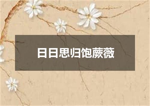 日日思归饱蕨薇