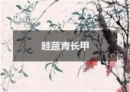 畦蔬青长甲