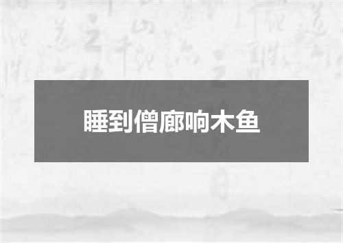 睡到僧廊响木鱼