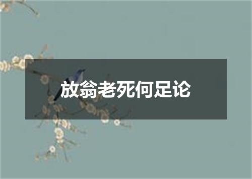 放翁老死何足论