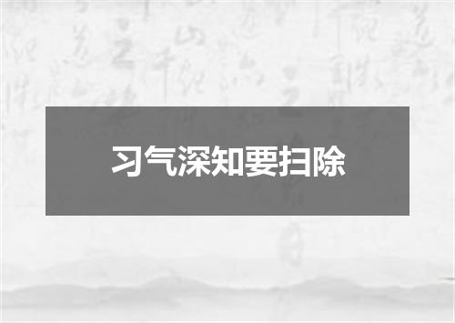 习气深知要扫除