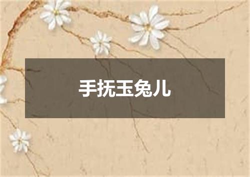手抚玉兔儿