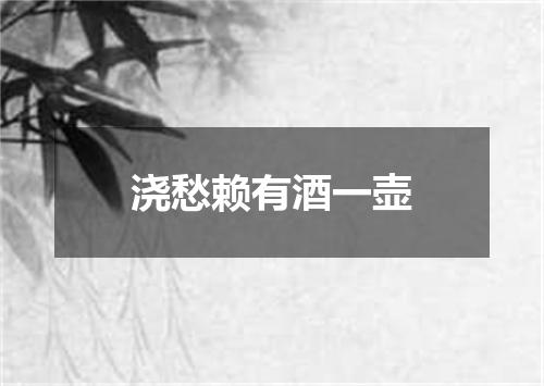 浇愁赖有酒一壶
