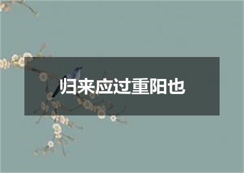 归来应过重阳也