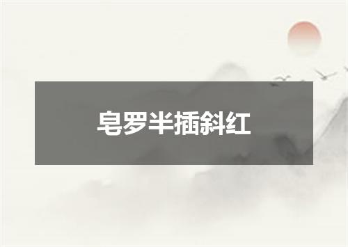 皂罗半插斜红