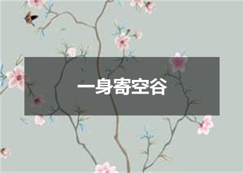 一身寄空谷
