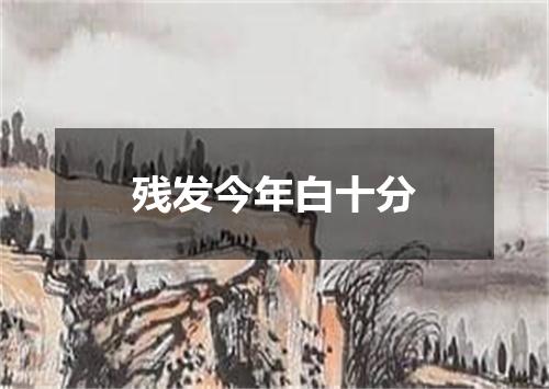 残发今年白十分