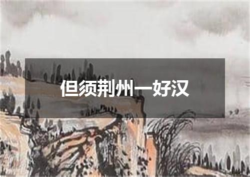 但须荆州一好汉