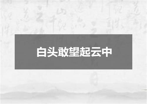 白头敢望起云中
