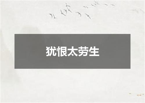 犹恨太劳生