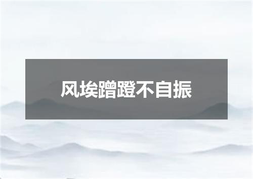风埃蹭蹬不自振