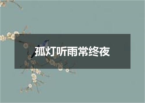 孤灯听雨常终夜
