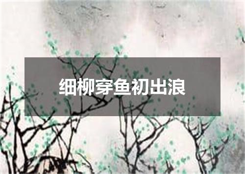 细柳穿鱼初出浪