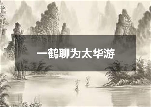 一鹤聊为太华游