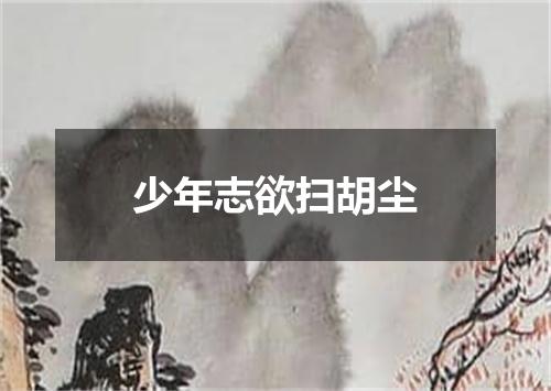 少年志欲扫胡尘