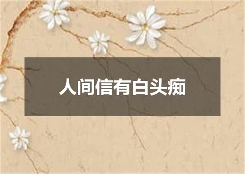人间信有白头痴