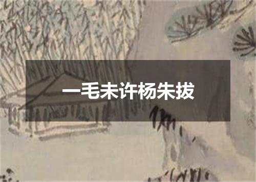 一毛未许杨朱拔