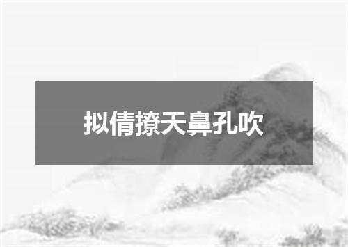 拟倩撩天鼻孔吹