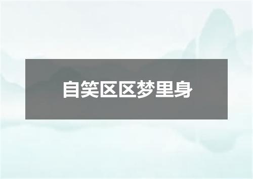 自笑区区梦里身