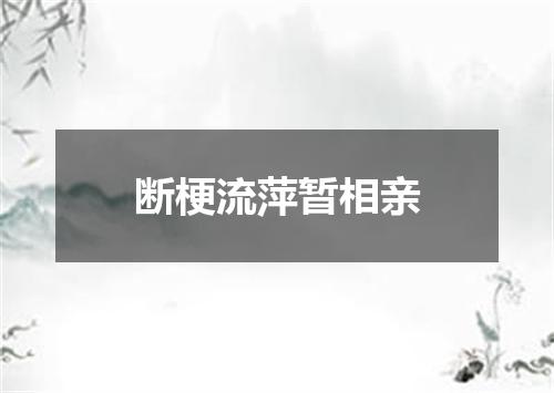 断梗流萍暂相亲